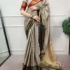 Gray Silk and Checks Border Saree