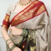 Gray Silk and Checks Border Saree