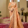 Woman’s Shisha Kum Kum Vol-10 Premium Tissue Silk Zari Weaving Fabric With Double Blouse
