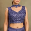 Woman's Indo-Western Drape Skirts