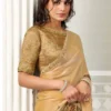 MAHOTSAV NORITA TWO TONE SATIN SILK SAREE WITH BEADS